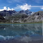 import/50/14