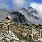import/73/16